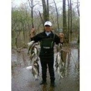 Meet your Posher, Kin